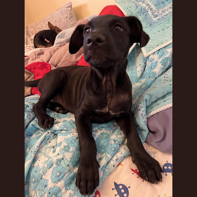 Photo of Skinny Marie (Evie)