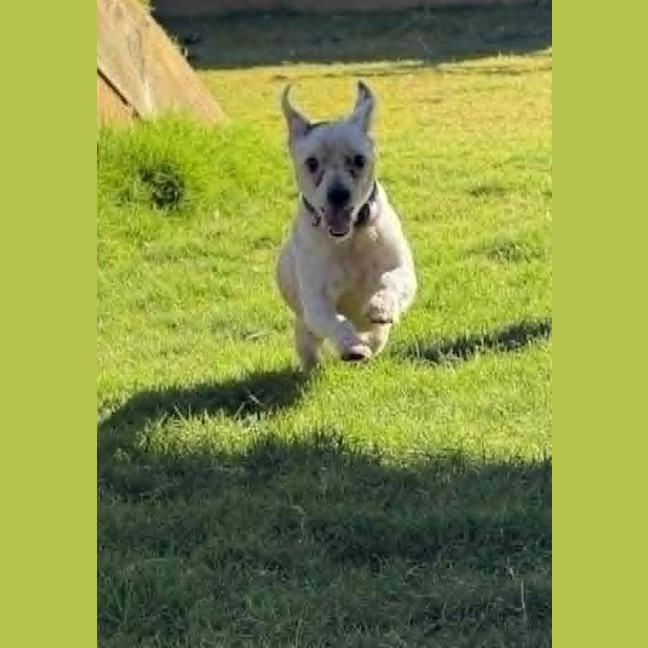 Photo of Max