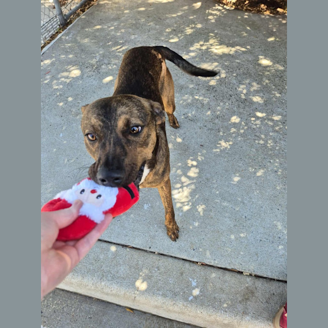 Photo of Toohey! 🍻