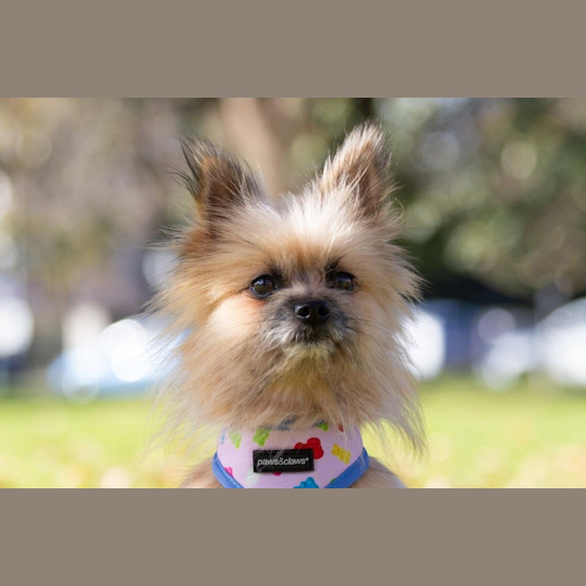 Photo of Jinx Everhart