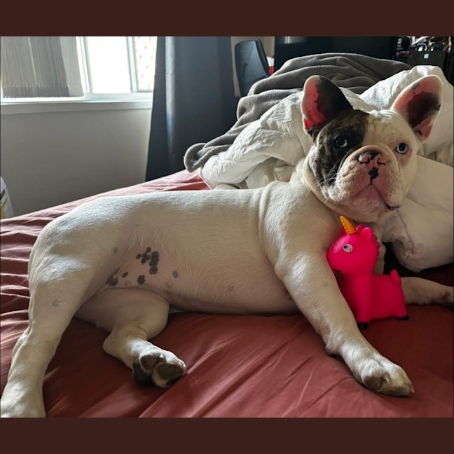 Photo of Lulu