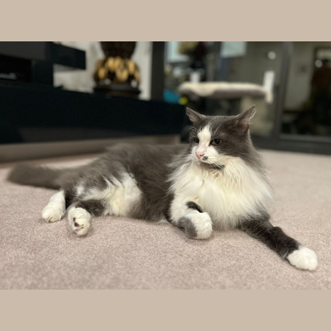 Photo of Barney And Wynstan