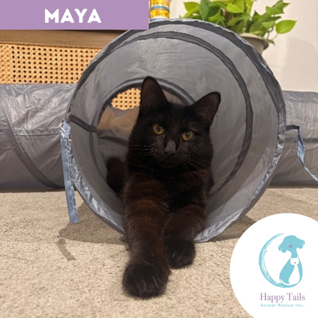 Photo of Maya