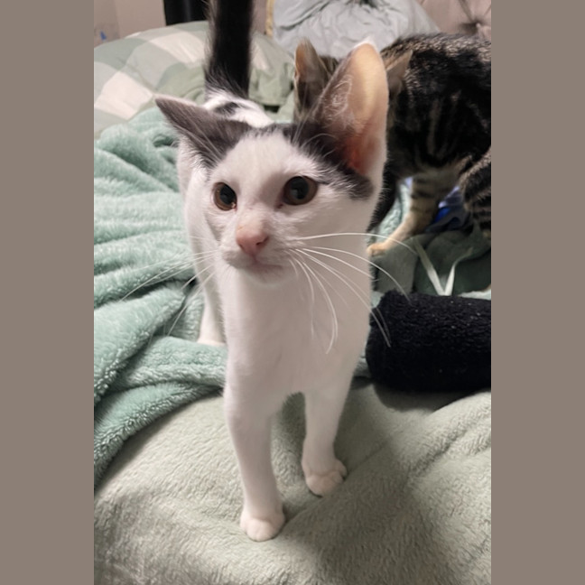 Photo of Bonny