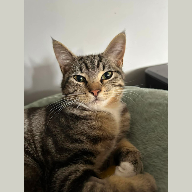 Photo of Leo