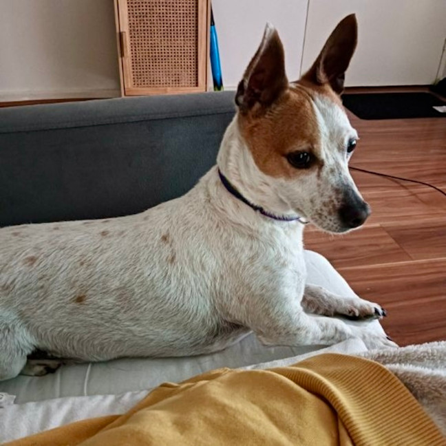 Photo of Lilly