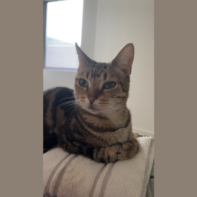 Photo of Zena