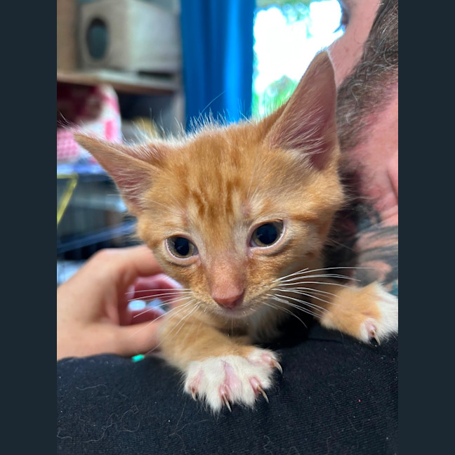 Photo of Zeus 🛡️ 