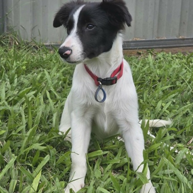 Photo of Annie 