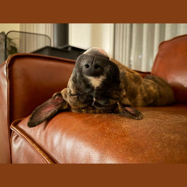 Photo of Jude 