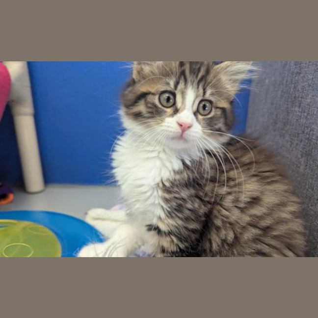 Photo of Astrid