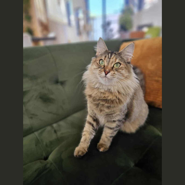 Photo of Babs