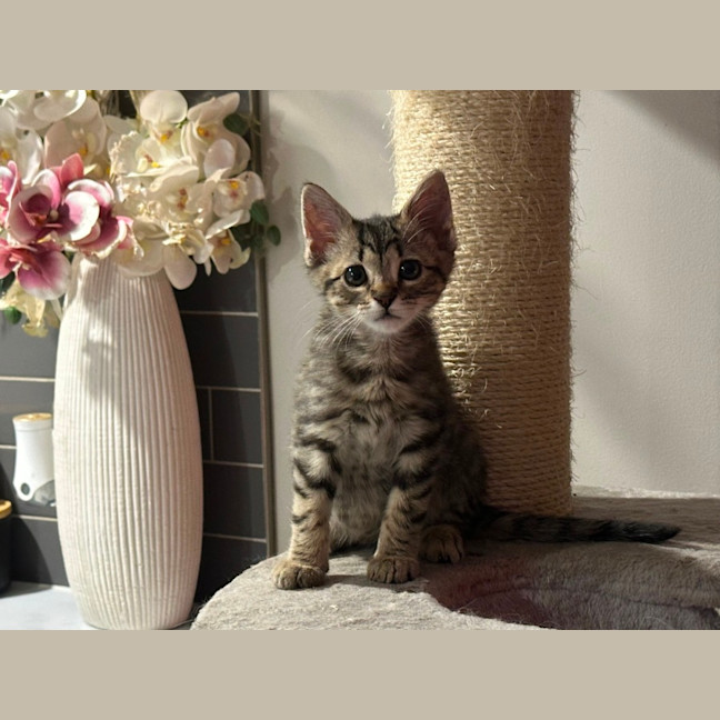 Photo of Luka 😻