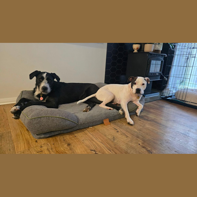 Photo of Frank Costanza