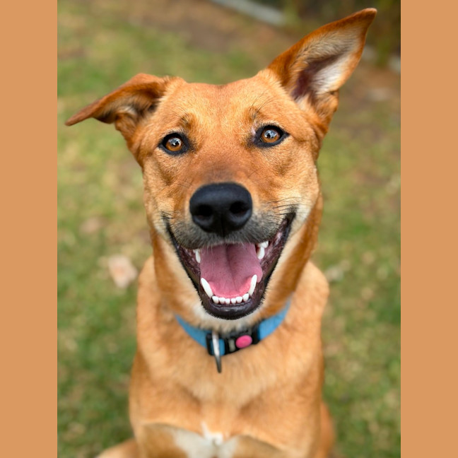 Photo of Thelma