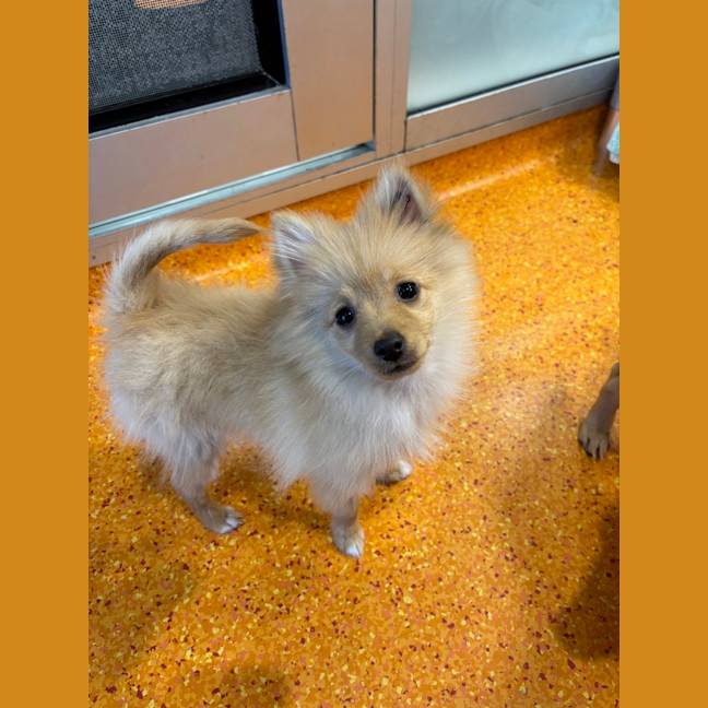 Photo of Gatsby