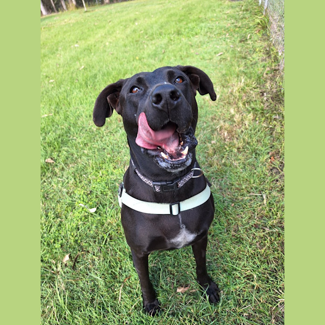 Photo of Maya