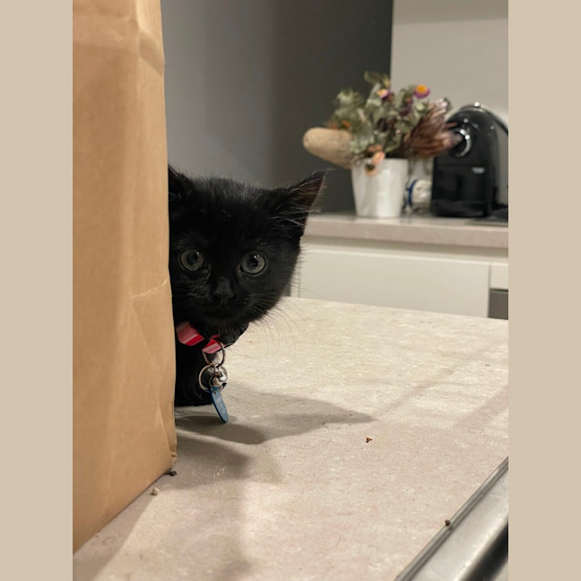 Photo of Bonnie