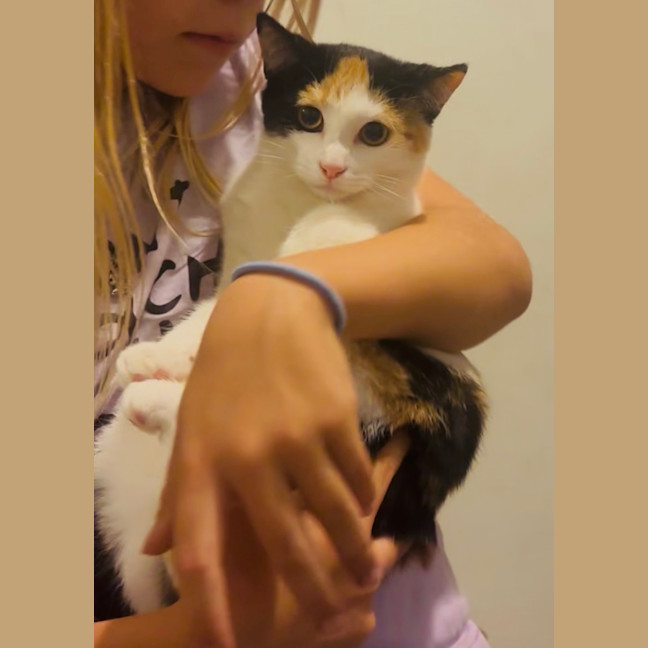 Photo of Perdita