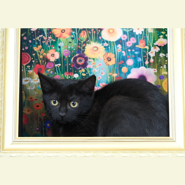 Photo of Wilma