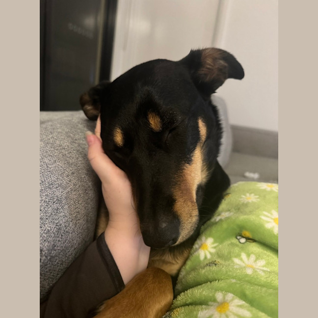 Photo of Ruby