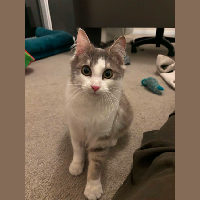 Photo of Sprinkles