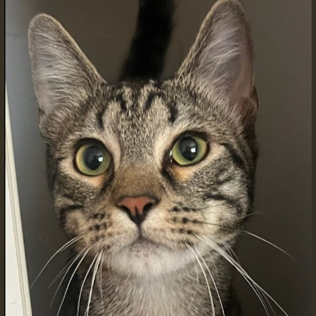 Photo of Spirit