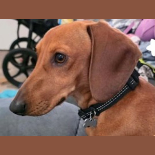 Photo of Stanley