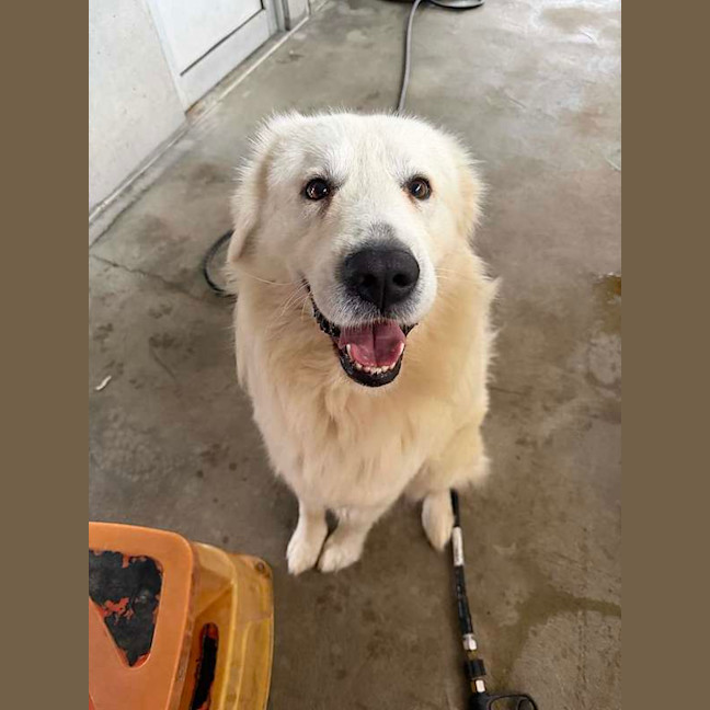 Photo of Handsome