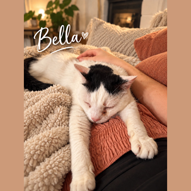 Photo of Bella