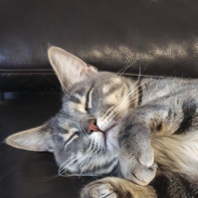 Photo of Goose