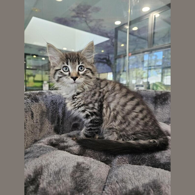 Photo of Monty