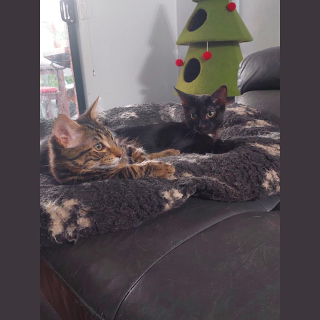 Photo of Skye