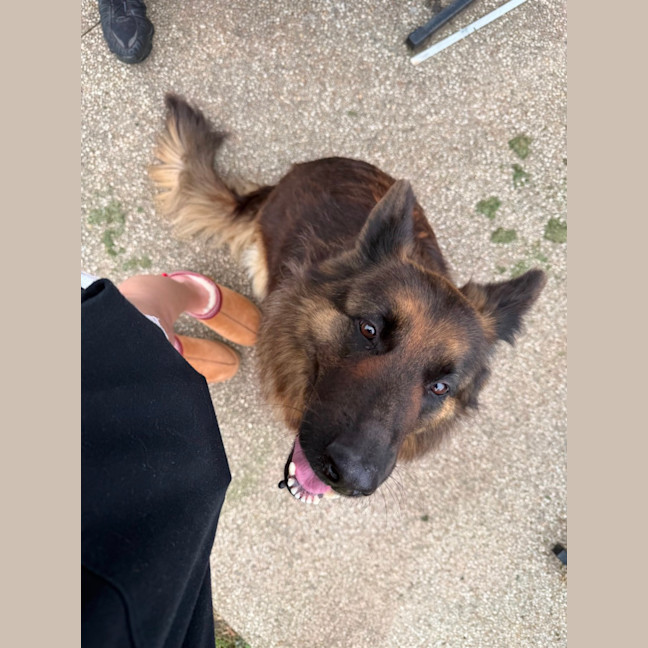 Photo of Bonnie