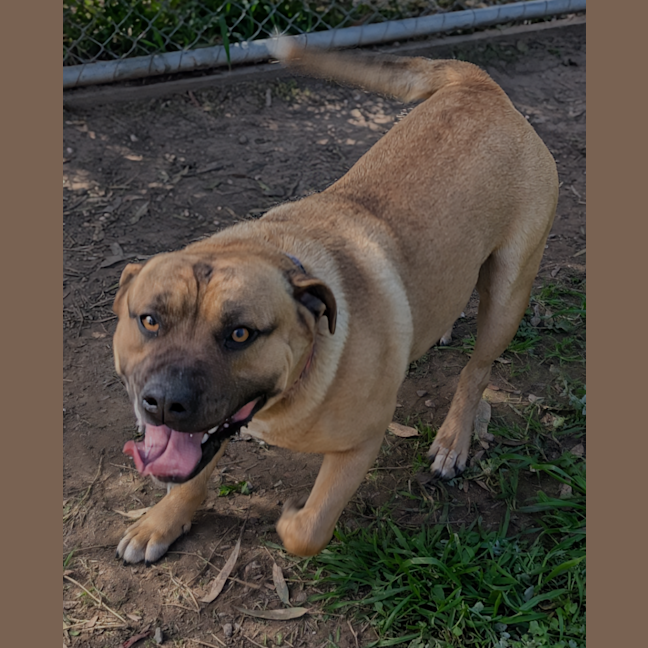 Photo of Jimmy Neutron