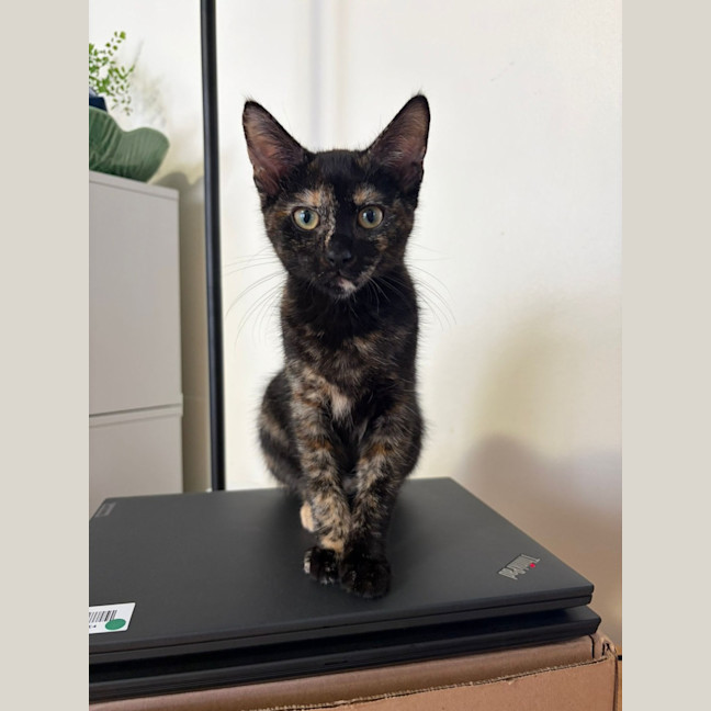 Photo of Hazel