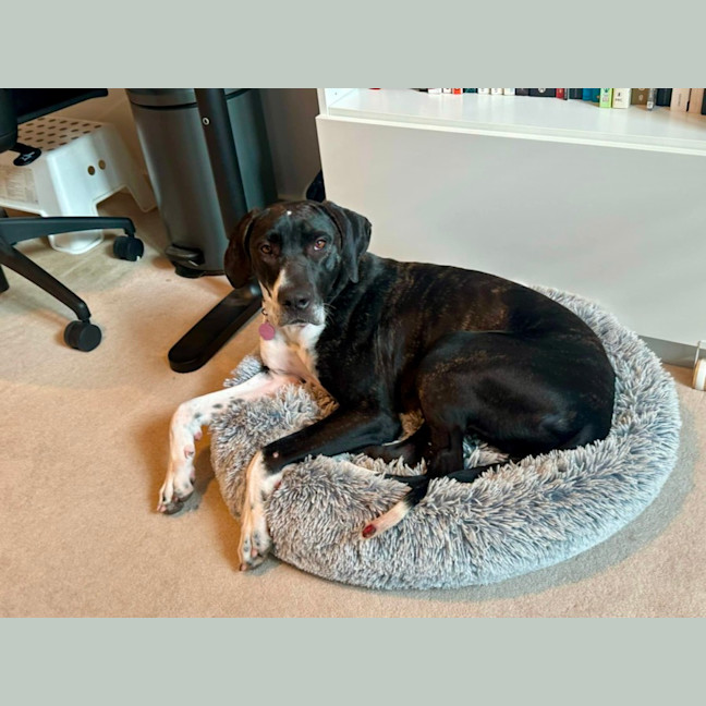 Photo of Maggie