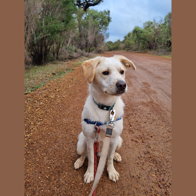 Photo of Atticus (Hiro)