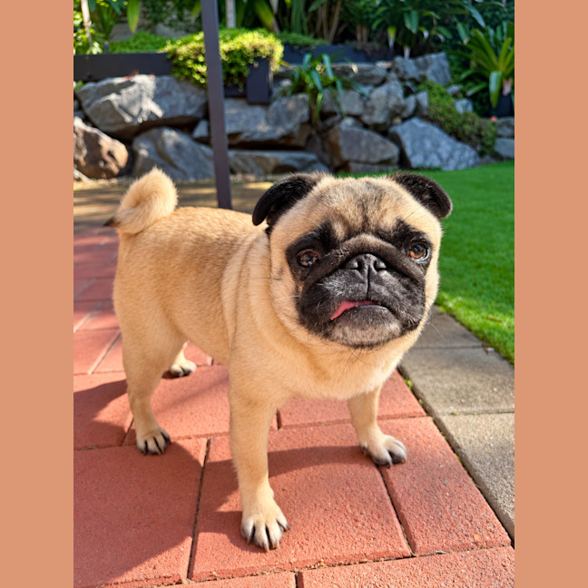 Photo of Honey