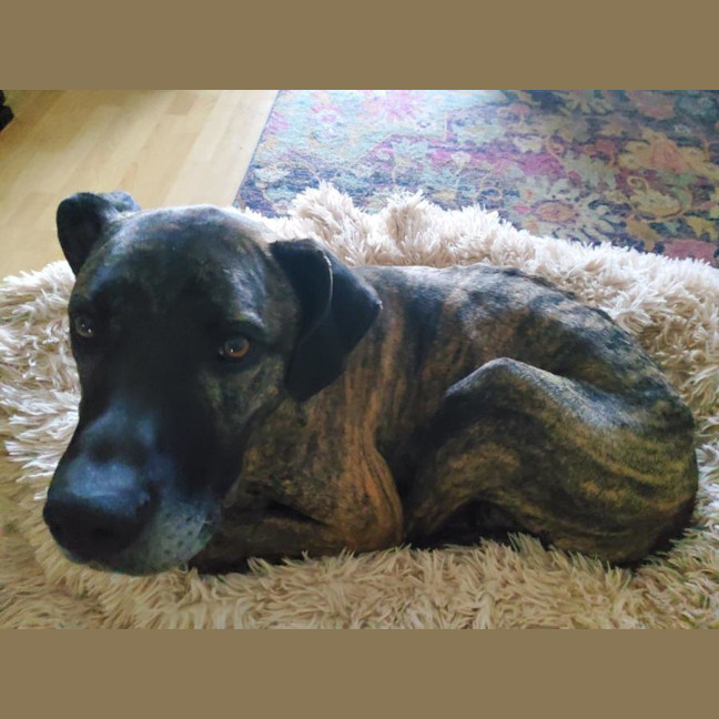 Photo of Captain Tamblyn