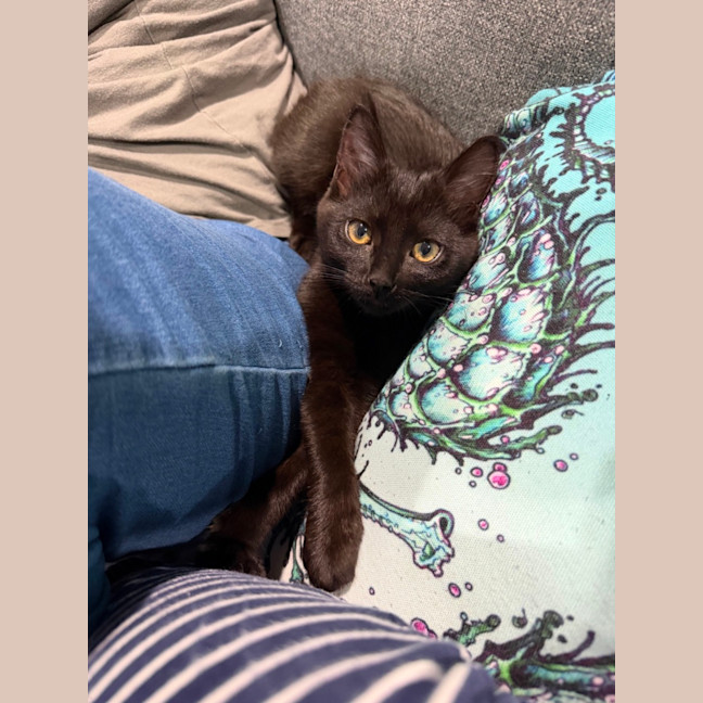 Photo of Lilith