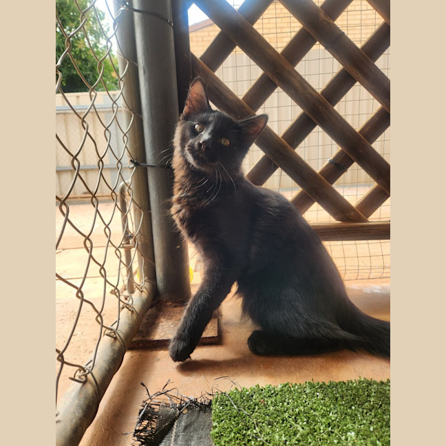 Photo of Jet