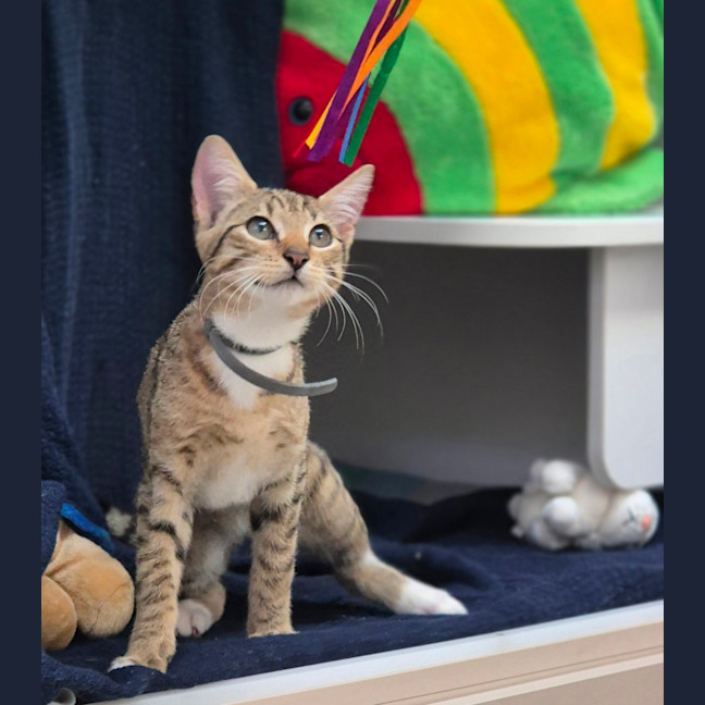 Photo of Molly (8980)