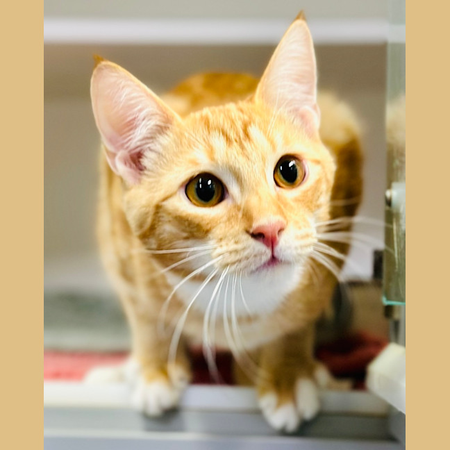 Photo of Elfie And Zorra 