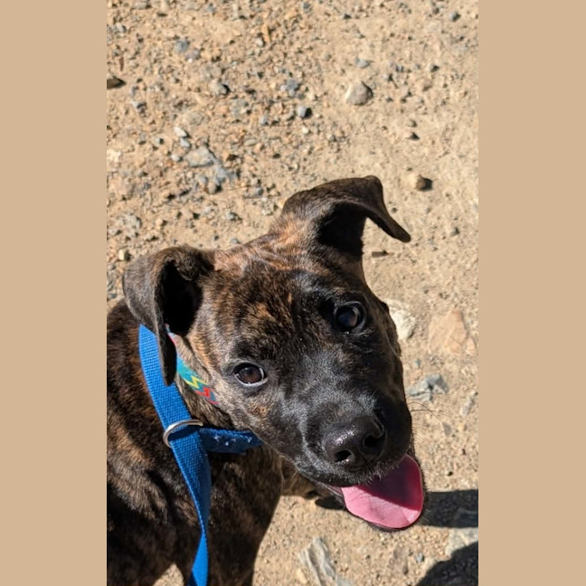 Photo of Hera