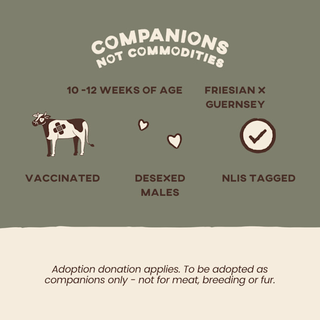 Photo of Moe & Barney