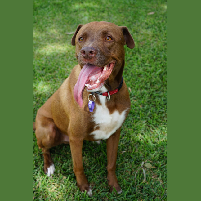 Photo of Wally