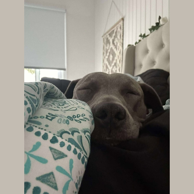 Photo of Bonnie