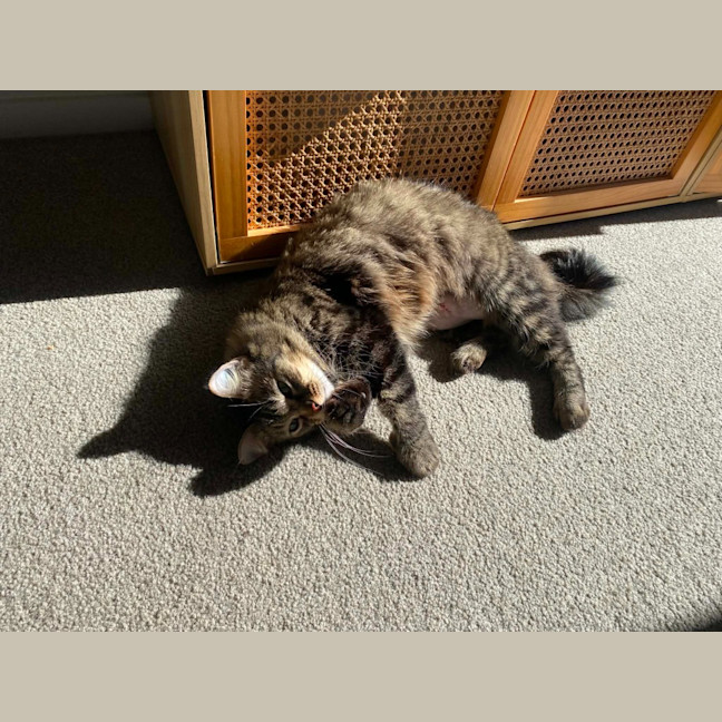 Photo of Romy