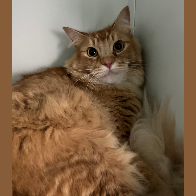 Photo of Bon